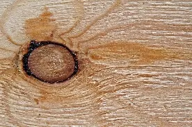 Sęki i widoczne nierówności