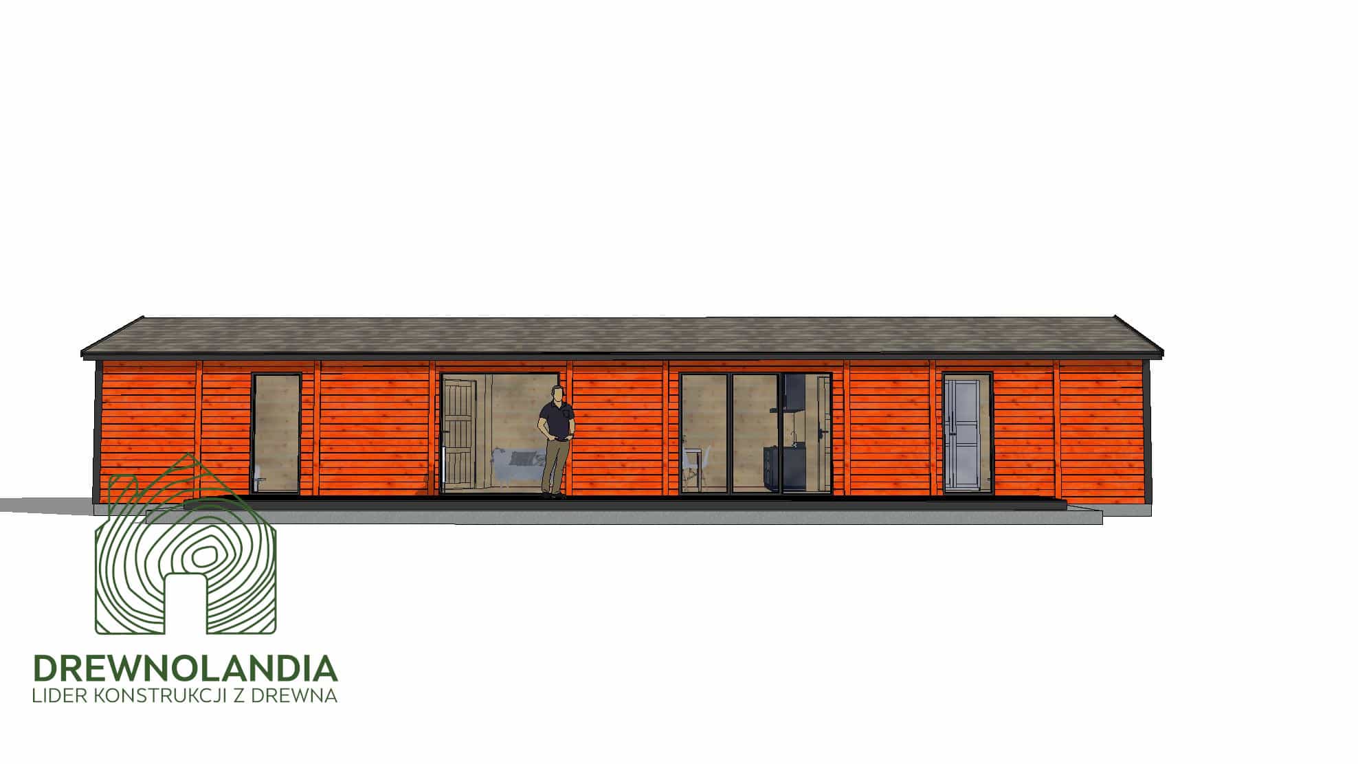 Ariel V – elegancki dom z dużymi oknami, przestronny projekt mieszkalny o wymiarach 17,5x4 m