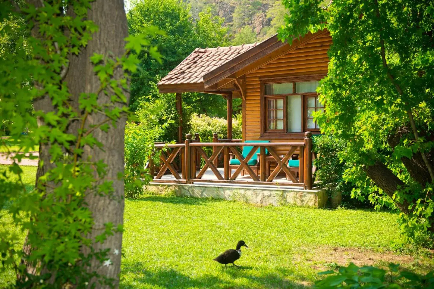 Ile lat wytrzyma domek letniskowy?