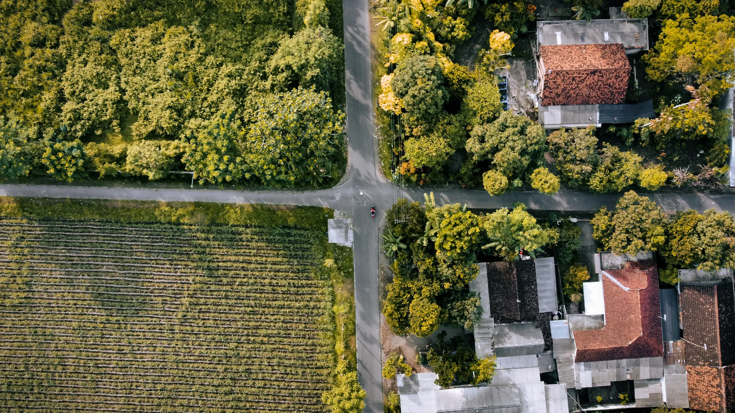Rodzaje działek w Polsce