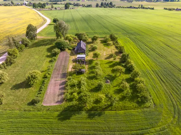 działka siedliskowa