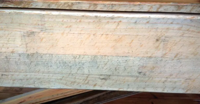 Szarzenie drewna? To proces naturalny