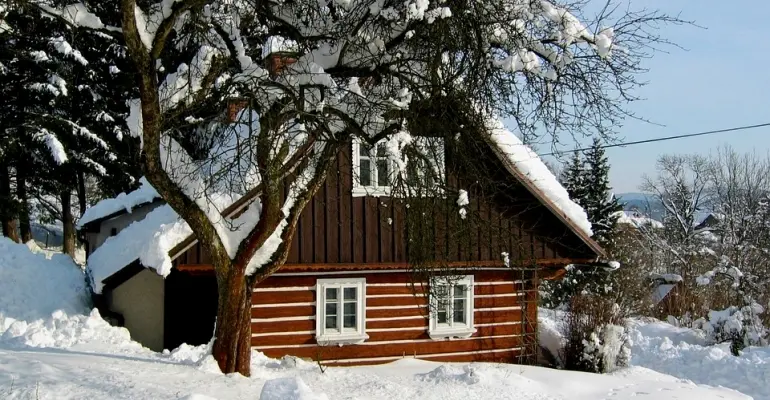 Chcesz kupić szkieletowy dom kanadyjski? Co musisz wiedzieć, zanim się zdecydujesz?