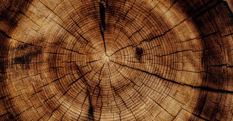 Jakiego drewna używamy w procesie produkcji?
