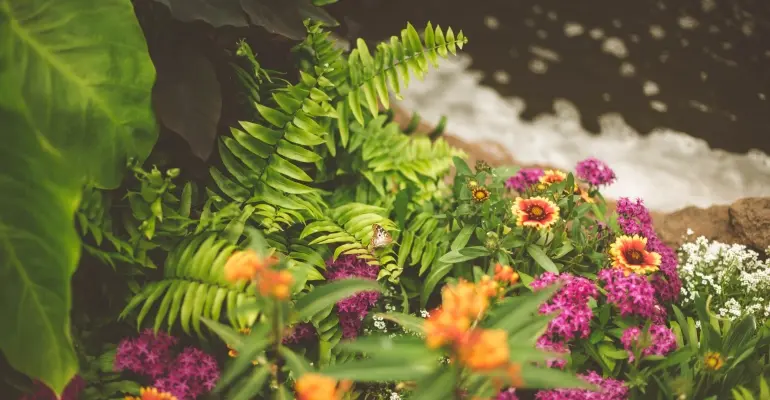 Jak założyć ogród leśny? Nasze ogrodowe inspiracje!