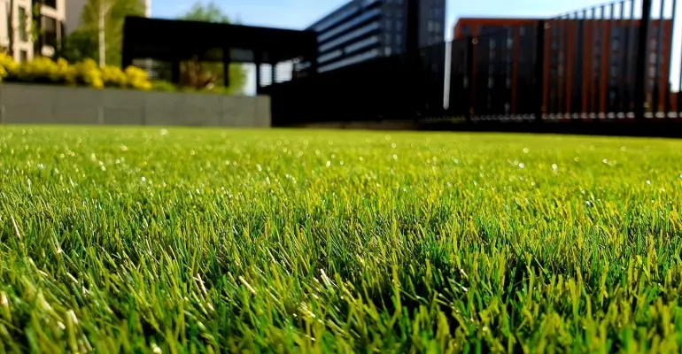 Jak założyć trawnik krok po kroku?