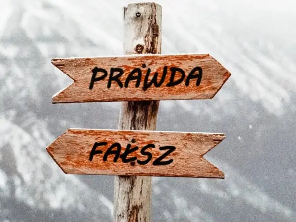 drewniane domki letniskowe fakty i mity