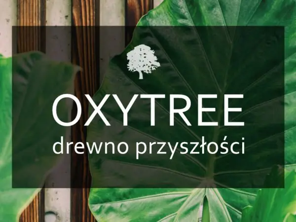 drewno oxytree drewnolandia domy kanadyjskie