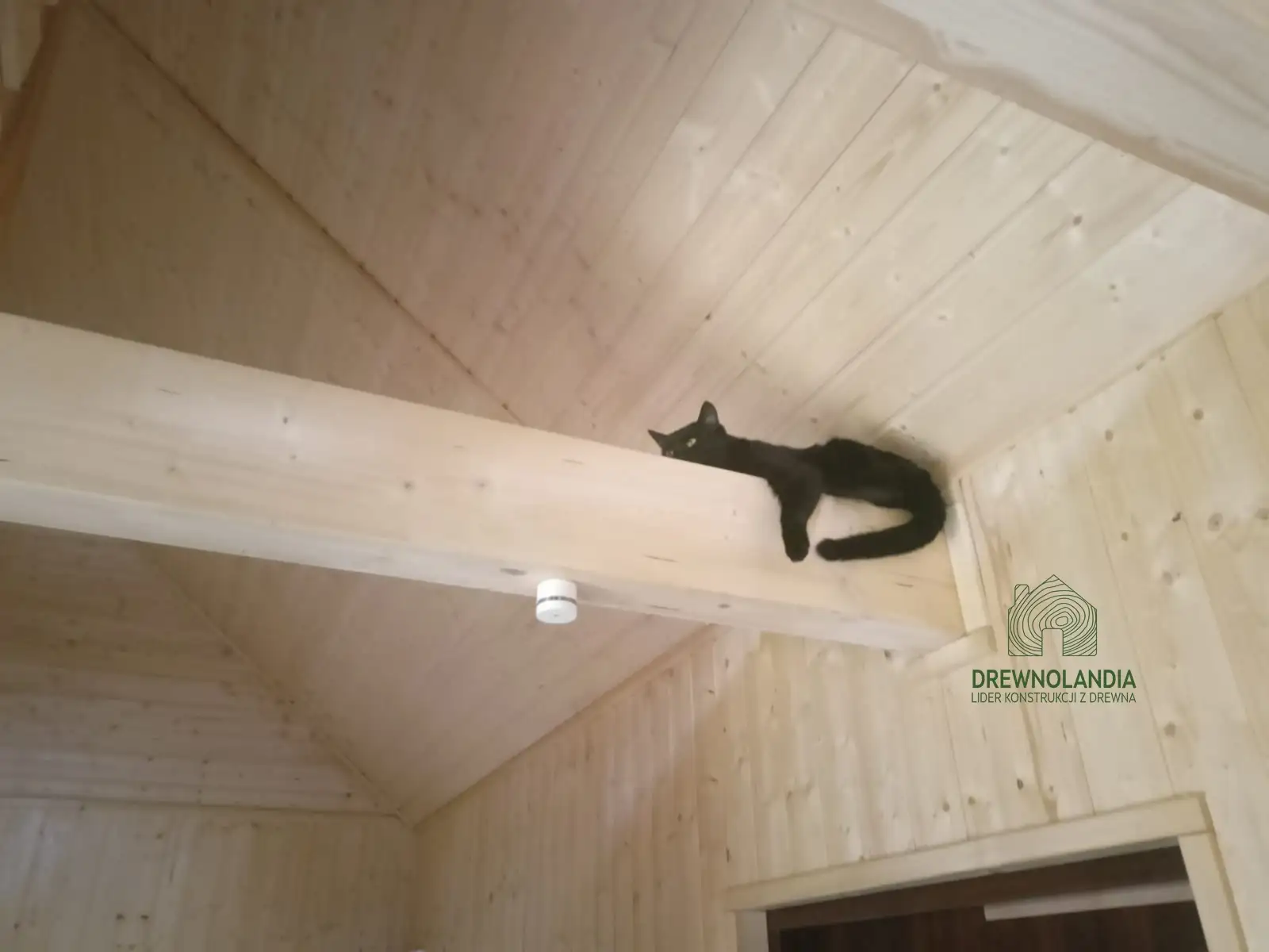 Domek Damian SSZ- 35 m² (SSZ)