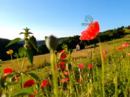 Domek Hubert SSZ – 44 m² (SSO) - zdjęcie 15