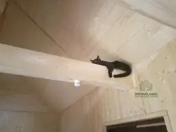 Domek Damian SSO- 35 m² - zdjęcie 41