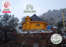 domek letniskowy z czarnym dachem wśród drzew w zimie